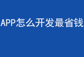 APP怎么開發(fā)省錢？